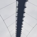 좌구산 천문대 이미지