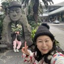 아이렌트카 | 1월 🍊제주도 여행 ✈️아이와 둘이, TMAP 렌트카 🚙이용 후기 (예약부터 반납까지)