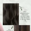 (주)토니브라운