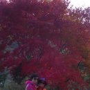 석남동주민센터 이미지