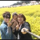 목마송이 이미지