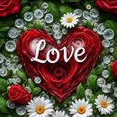 Candice night-Black roses 이미지