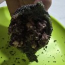 아차산로405번길 | [후기] 구리시 교문동 떡 맛집 - 희래당