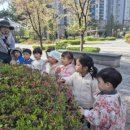 지니어스숲어린이집 이미지