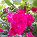 군산대우푸르지오공인중개사사무소 이미지