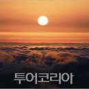 일출약초