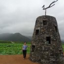 연꽃세상 이미지