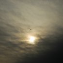 우바라
