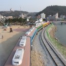 정동진시간박물관 이미지