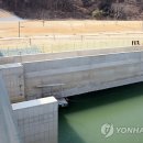 구미보 티스토리