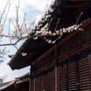 세종호텔 이미지