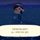 너굴상점