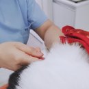 그린펫동물병원 이미지