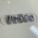 뉴미네일