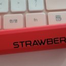 비타약국 이미지