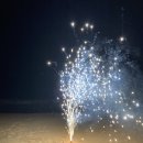 거제비타민씨 이미지