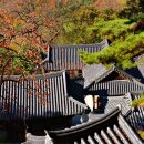 장춘사 - 1818 | 장춘사
