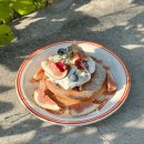 베스트애견 이미지