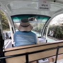 노을공원3 | 겨론일기 17-1. 드마레스튜디오 6시간 웨딩촬영 3｜노을공원 야외 스냅 찐 후기(feat. 맹꽁이 열차)