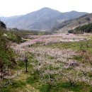 부야경로당 이미지