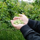 하동상회 이미지