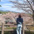 해인호 | [23년 3월 마지막 / 4월 시작] 조금의 난항이 있었지만 순항으로 돌아온 해인호