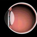 마나나안경원 이미지