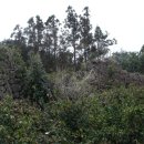 삼달1리 이미지