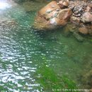 지리산천상화원 이미지