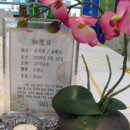 영스포렉스 이미지