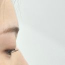 늘래쉬 | [시흥 배곧] 늘래쉬 | 무쌍 바짝 대만족 배곧속눈썹펌