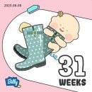 놀러와아이스크림할인점 | 난임 임신일기 ep27. 시험관 임신 / 임신 31~32주차 기록 / 맘편한산후조리원 산전마사지 / 아기용품...