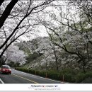 안민고개길 이미지