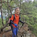 제1576차 06월23일(화) 충북 영동 막기항산 사군봉(977m) 산행정보 및 영상 이미지
