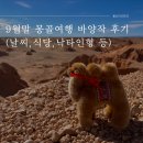9월말 몽골여행 바양작 후기(날씨, 옷차림, 캠프식당, 낙타인형, 옹기사원돌탑)