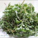 더 정감 이미지