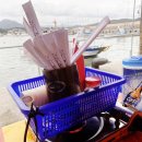 학리초장 이미지