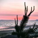 안면도수평선 이미지