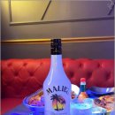 가자뮤직타운 이미지