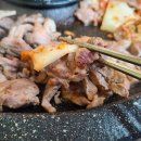 산천오리 이미지