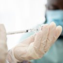 송파내안에의원 이미지