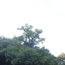 보석사 이미지