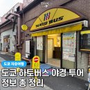 P-0011 | 도쿄 야경 버스투어, 도쿄타워부터 오다이바까지! 하토버스 2시간 30분 코스 후기