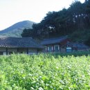 향교말길47 이미지