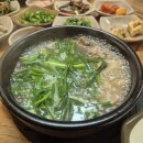 녹동별난국밥 | 녹동애견동반맛집 [녹동 별난국밥]