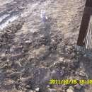 일출농장 이미지