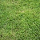 해비치CC | ⛳ 제주 서귀포시 해비치 cc 골프 라운딩 후기
