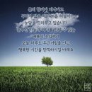 한성필하우스경로당 이미지