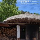 참나무쟁이 이미지