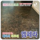 엠페라 네이버블로그